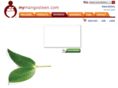 extraincome411.com