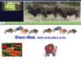 vistawoodbisonranch.com