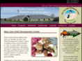 weecarechilddevelopment.org