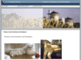 qualitykittens.net