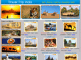 traveltriptoindia.com