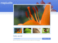 mepluslife.com
