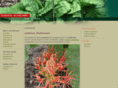 scadoxus.de