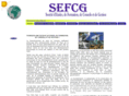 sefcg.net