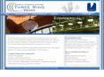 threeringelectric.com