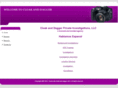 cloakanddaggerpi.com
