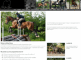 lgsporthorses.com