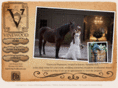 vinewoodevents.com