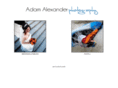 adamalexanderweddings.com