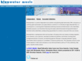 bluewatermusic.com