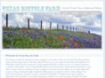 texasbicyclefarm.com