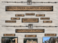 birchcreekquarterhorses.com
