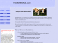 feedlotbiofuel.com