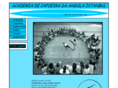 istanbulcapoeira.com