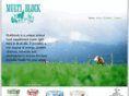 multiblock.com