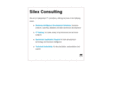 silexconsulting.com