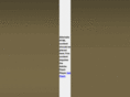 telecloggy.com
