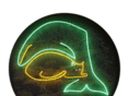 catacealtd.com