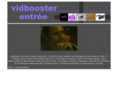 vidbooster.com