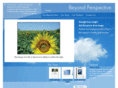 beyondperspective.com