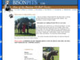 bisonpits.com