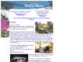 healingwatersjamaica.com