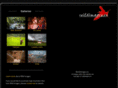 mackintoshes.com