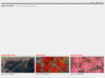 munnsnursery.com