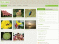 photologgia.com