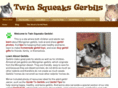 twinsqueaks.com