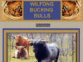 wilfongbuckingbulls.com