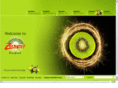 aragornltd.biz