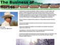 businessofhorses.com