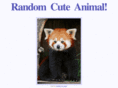 randomcuteanimal.com