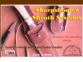 sharpshootersheathsystems.com