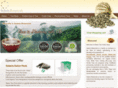 solarisbotanicals.com
