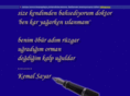 ayhanattar.com