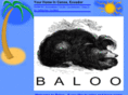 baloo-canoa.com