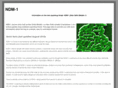 ndm-1.net