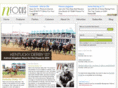 nfocuslouisville.com