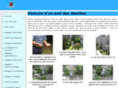 fleurdabeille.com