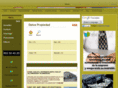 promocionesenvalencia.es