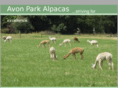 avonpark.com.au