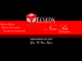 elseon-inc.com