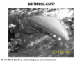 sanwest.com