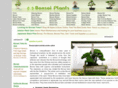 bonsai-plants.net