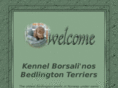 borsalinos.no