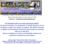 dvd-transfer-specialists.com