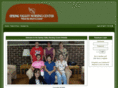 springvalleynursingcenter.com