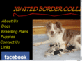 ignitedbordercollies.com